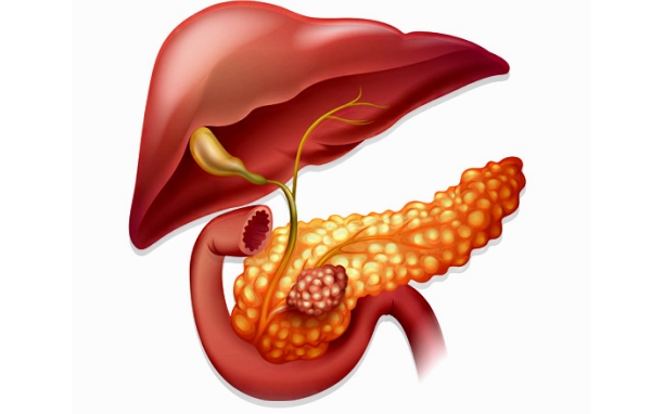 Biliary Surgery